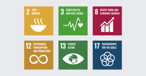 Sustainable Development Goals, 2: Zero Hunger, 3 Good Health and Wellbeing, 8: Decent Work and Economic Growth, 12: Responsible Consumption and Production, 13: Climate Action and 17: Partnership for the Goals