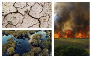 Collage showing effects of climate change. Top left: Drought, bottom left: floods, Right: wildfires