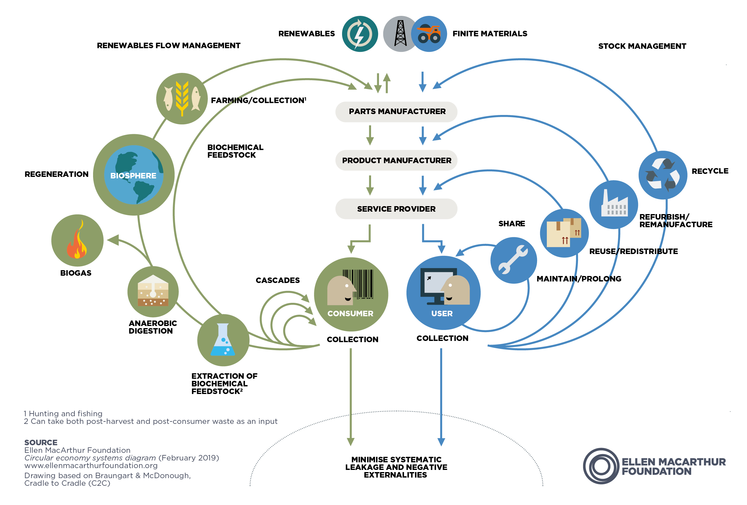 Butterfly infographic of circular model