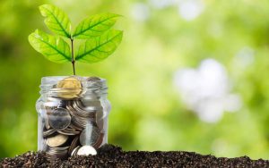 Jar of money with plant growing out, hinting at sustainable procuremnt